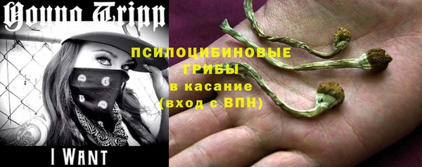 2c-b Аркадак