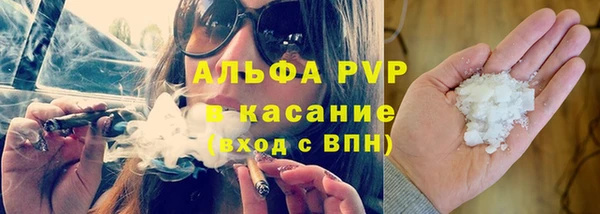 прущие грибы Белая Калитва