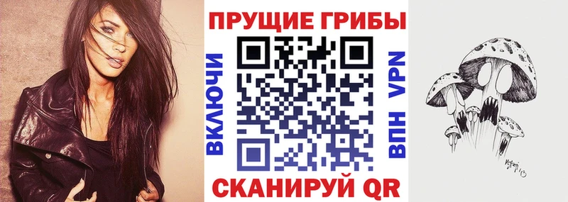 наркотики  Бобров  Галлюциногенные грибы Psilocybine cubensis 